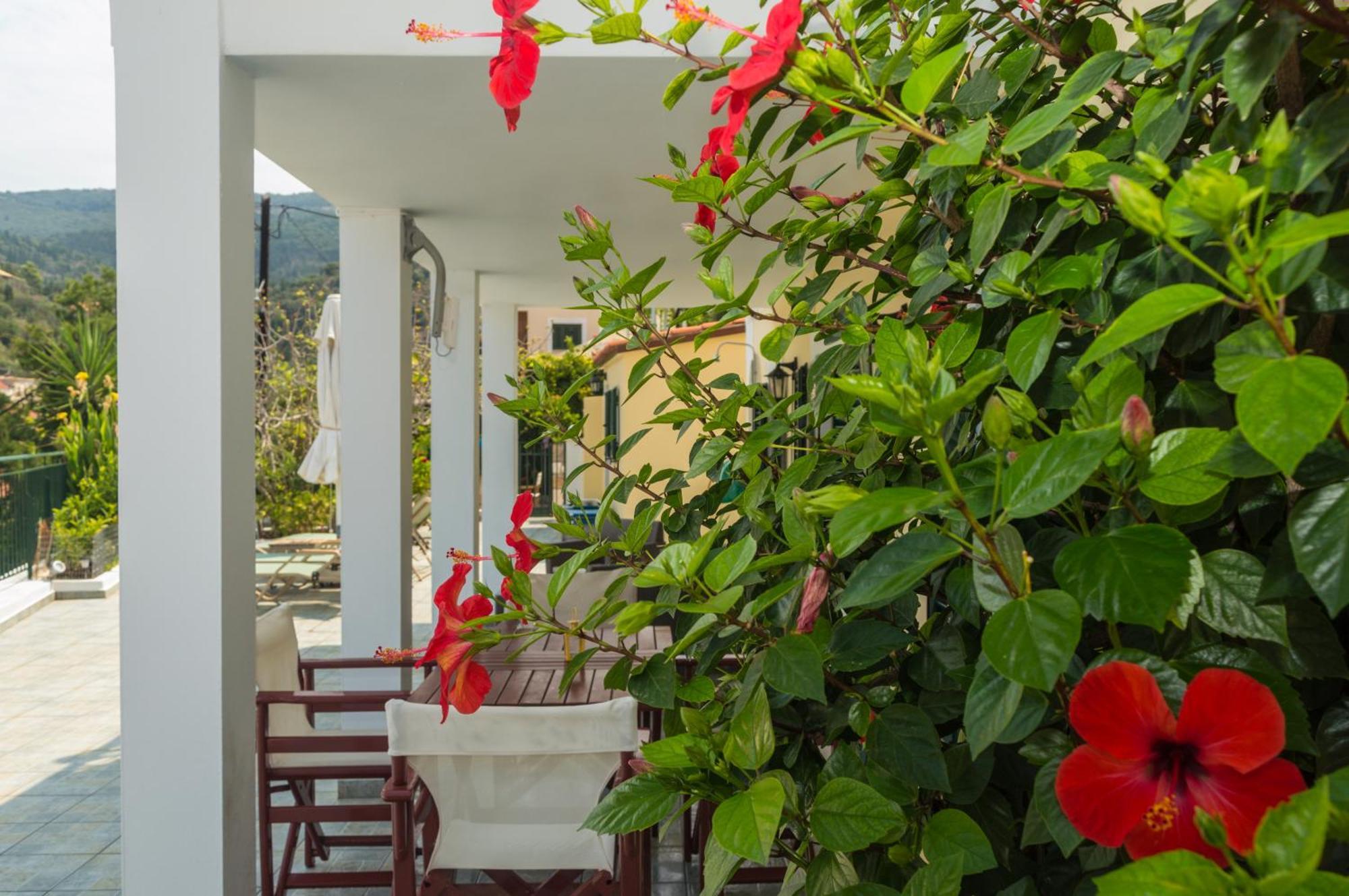 Dionos Villa Asos Exterior photo